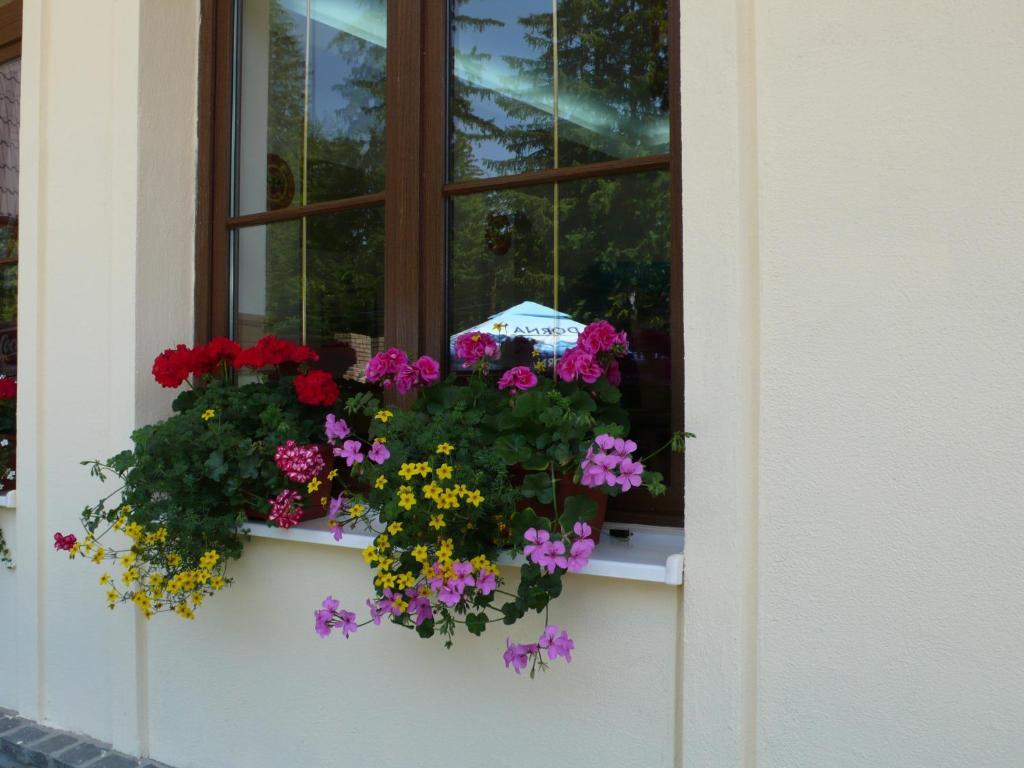 Hotel Ruia Poiana Brasov Eksteriør bilde